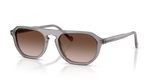 Transparent Grey / Gradient Brown (282013)