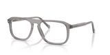 Transparent Grey / Demo Lens (2820)