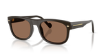 Full Dark Brown / Dark Brown (332873)