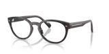 Brown Havana / Demo Lens (2386)