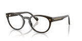 Full Dark Brown / Demo Lens (3328)