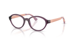 Transparent Violet / Demo Lens (3064)