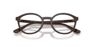 Full Brown / Demo Lens (2252)