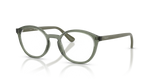 Transparent Mallard Green / Demo Lens (3086)