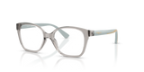 Transparent Grey / Demo Lens (3184)