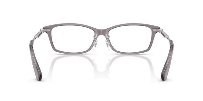Burberry BE2414D in Grey (4241) - Alternate View