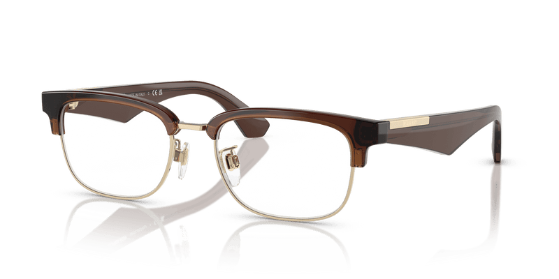 Burberry BE2424D in Brown (4116) (4116) - Alternate View