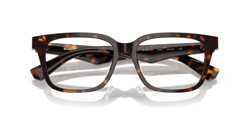 Dark Havana (3002)-swatch