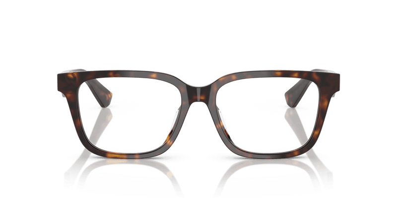 Dark Havana (3002)-variant-image