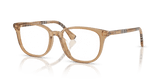 Beige / Demo Lens