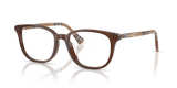 Brown / Demo Lens