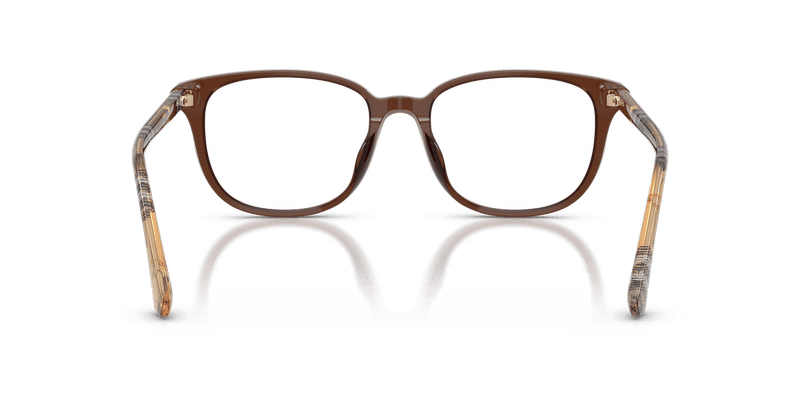 Burberry BE2434D in Brown / Demo Lens - Back View