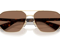 Light Gold / Dark Brown (110973)