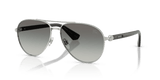 Silver / Grey Gradient (100511)