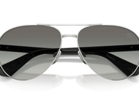 Silver / Grey Gradient (100511)