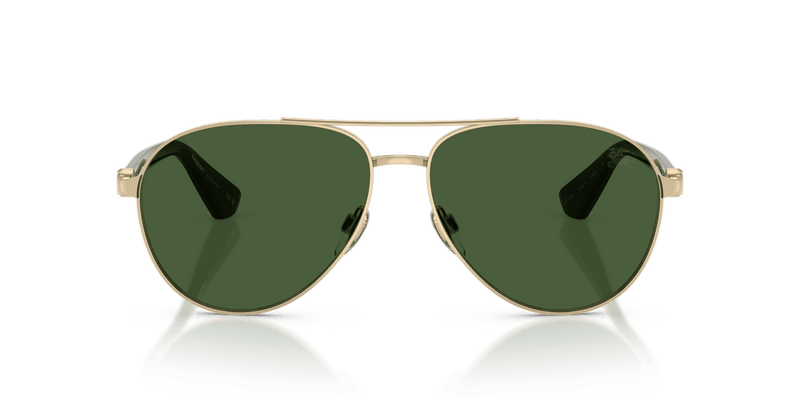 Light Gold / Dark Green (110971)-variant-image