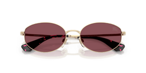 Light Gold / Purple Polarized (11095Q)