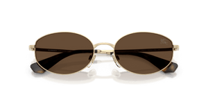 Light Gold / Dark Brown (110973)