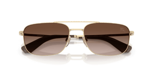 Light Gold / Brown Gradient (110913)