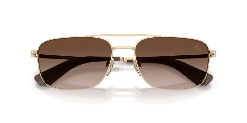 Light Gold / Brown Gradient (110913)-swatch