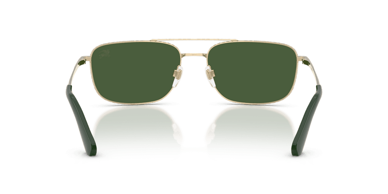 Light Gold / Dark Green (110971)-variant-image