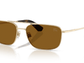Light Gold / Polarized Brown (110983)
