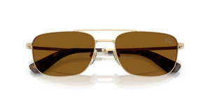 Light Gold / Polarized Brown (110983)