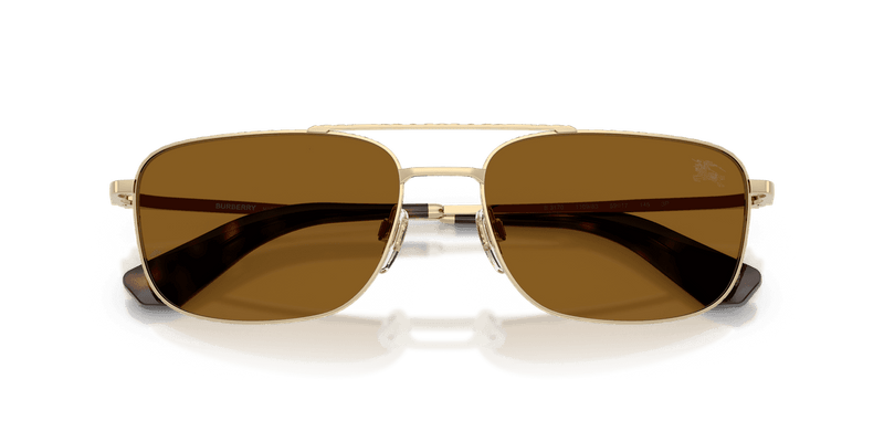 Light Gold / Polarized Brown (110983)-swatch