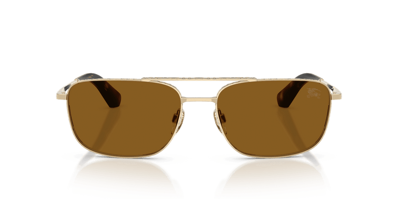 Light Gold / Polarized Brown (110983)-variant-image