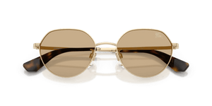 Light Gold / Dark Brown (110973)