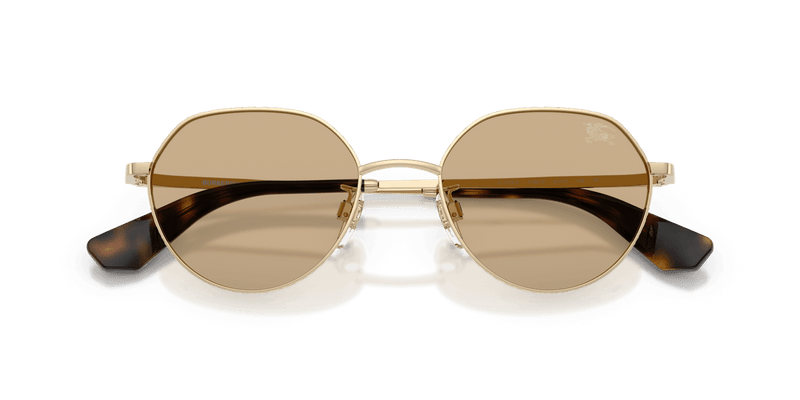 Burberry BE3173D in Light Gold / Dark Brown (110973) - Alternate View