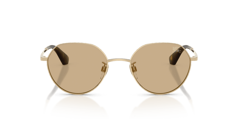 Burberry BE3173D in Light Gold / Dark Brown (110973) - Alternate View