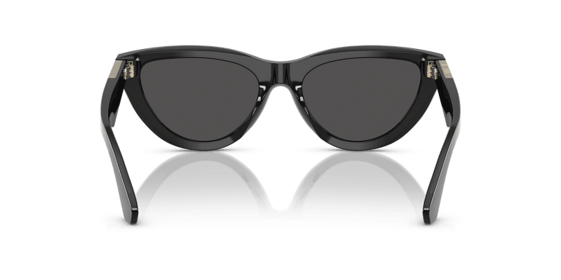 Burberry BE4436U in Grey / Dark Grey (411287) - Alternate View
