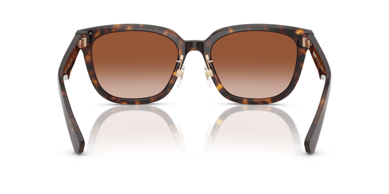 Burberry BE4446D in Dark Havana / Brown Gradient (300213) - Alternate View