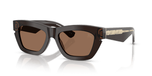 Brown / Dark Brown