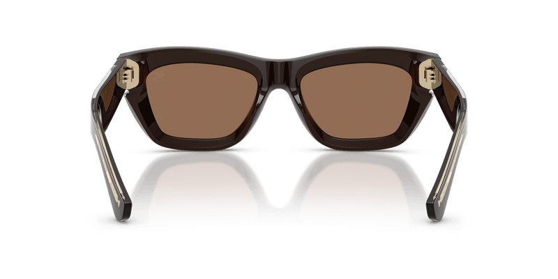Burberry BE4454 in Brown / Dark Brown - Alternate View