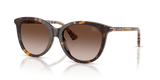 Dark Havana / Brown Gradient