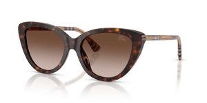 Dark Havana / Brown Gradient