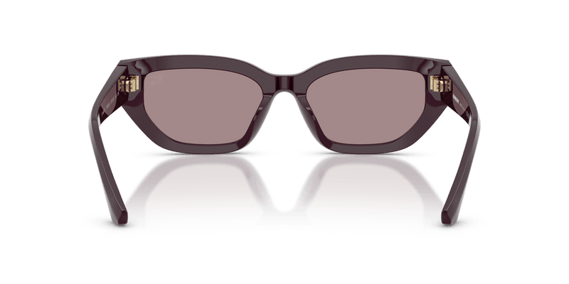 Burberry BE4463D in Violet - Temple Detail