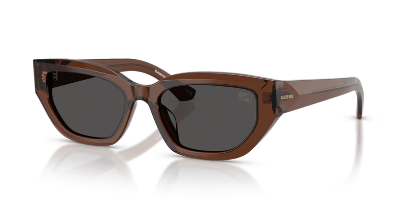 Burberry BE4463D in Brown / Dark Grey - Temple Detail