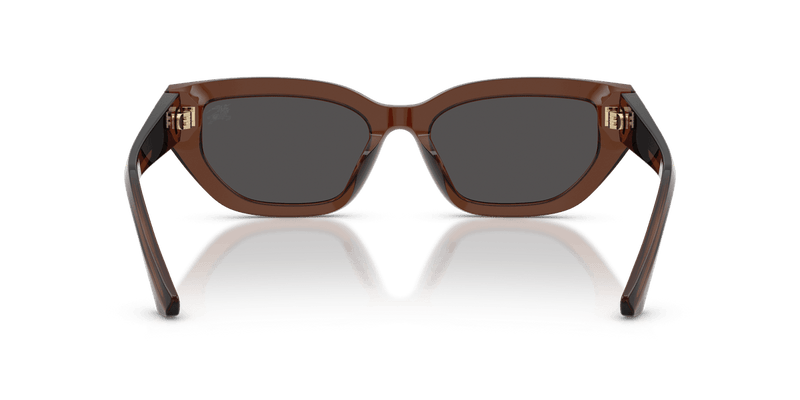 Burberry BE4463D in Brown / Dark Grey - Temple Detail