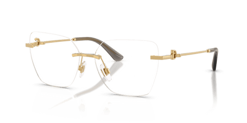 Dolce & Gabbana DG1363