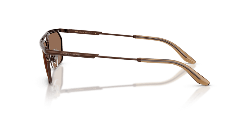 Dolce & Gabbana DG2327 in Brown/Matte Brown / Dark Brown (133673) - Alternate View