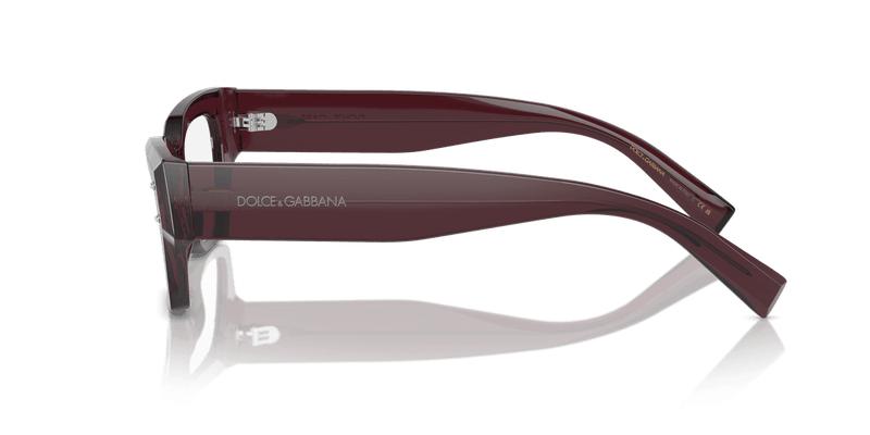 Dolce & Gabbana DG3387 in Transparent Violet (3045) - Temple Detail