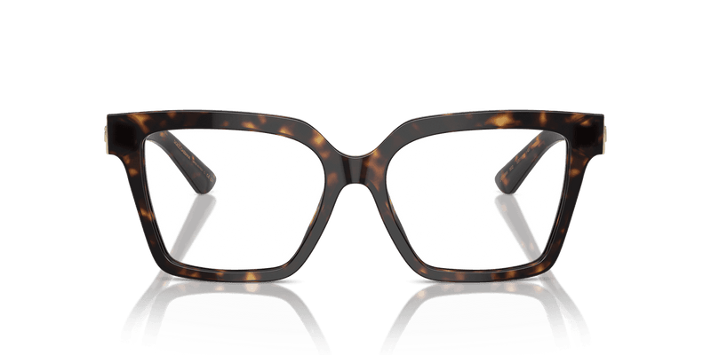 Dolce & Gabbana DG3395 in Havana (502) - Alternate View