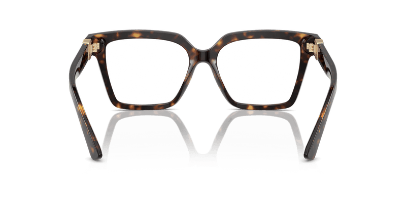 Dolce & Gabbana DG3395 in Havana (502) - Alternate View