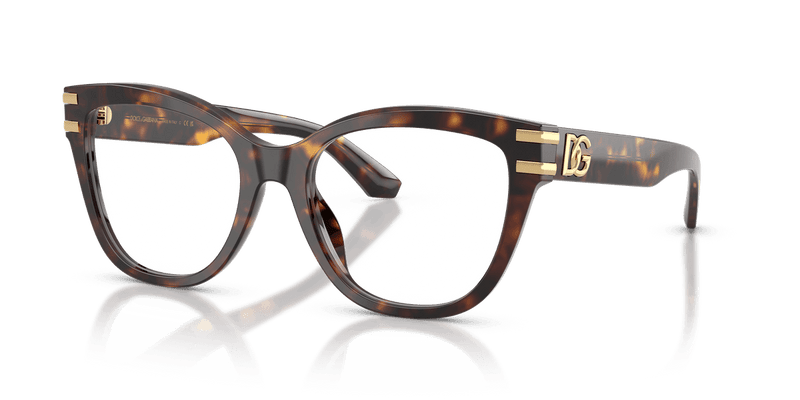 Dolce & Gabbana DG3418 in Havana / Demo Lens - Alternate View