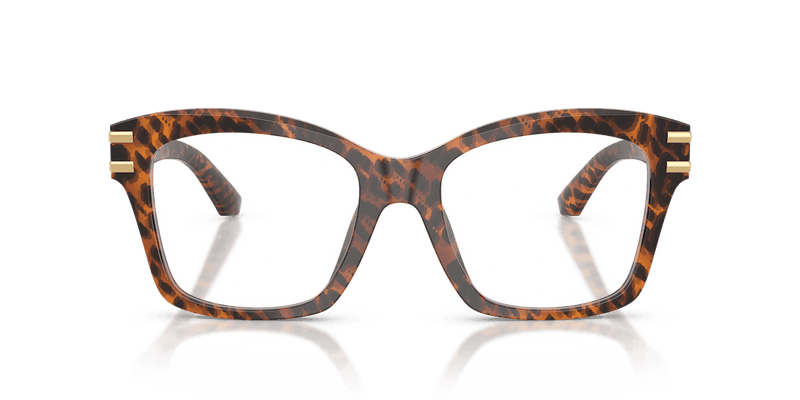 Dolce & Gabbana DG3419 in Leo Transparent (3470) - Back View