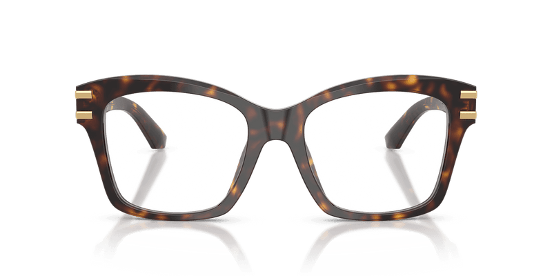 Dolce & Gabbana DG3419 in Havana (502) - Alternate View