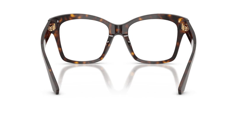 Dolce & Gabbana DG3419 in Havana (502) - Alternate View